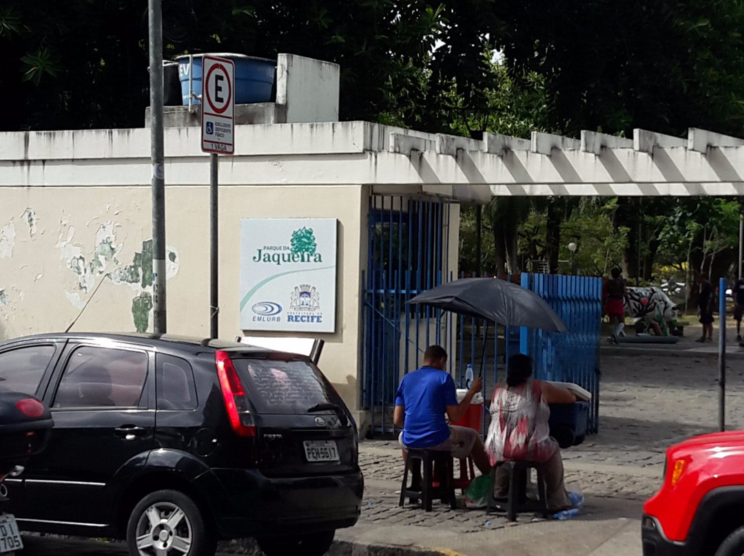 Parque da Jaqueira-累西腓必去景点