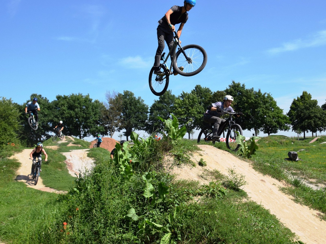 Gossler Bikepark Diespeck景点图片