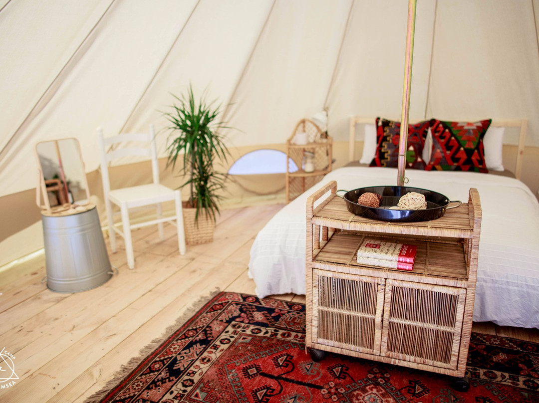 Dreamsea Surf Camp France