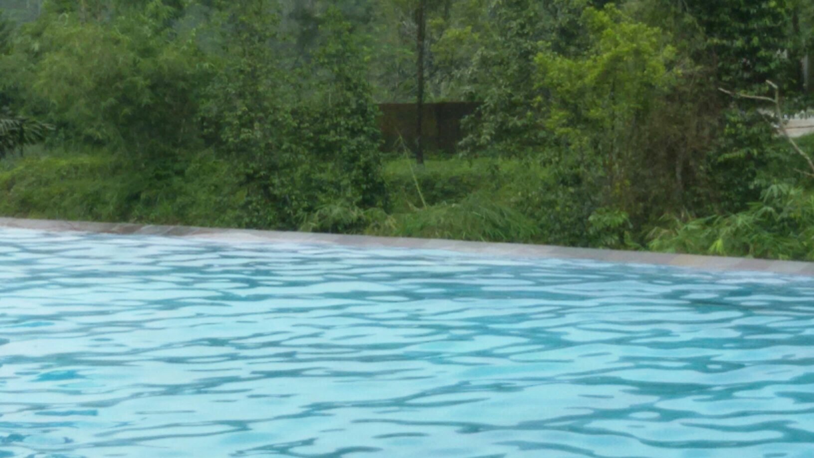 Grand Kanaya Baturraden Hotel-泳池