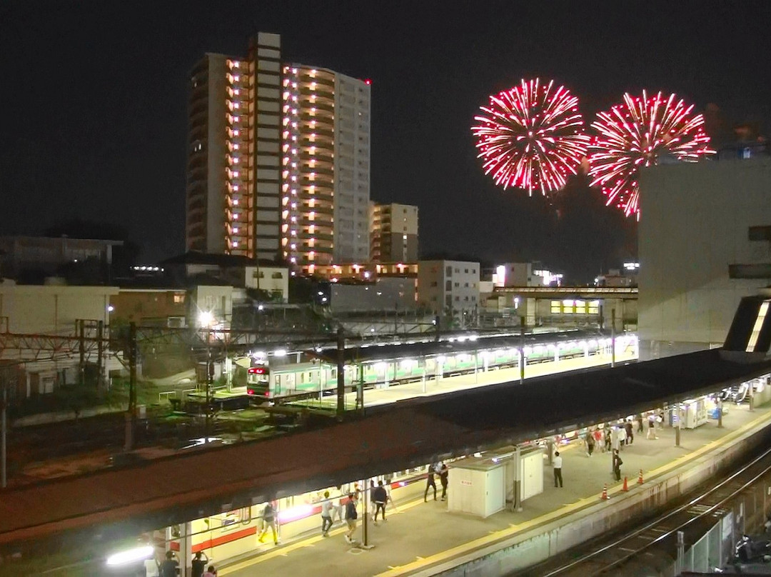 Toride Tone River Fireworks-取手市必去景点