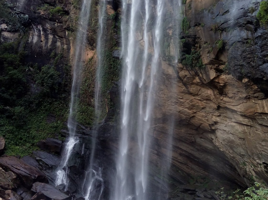 Alta Waterfall景点图片
