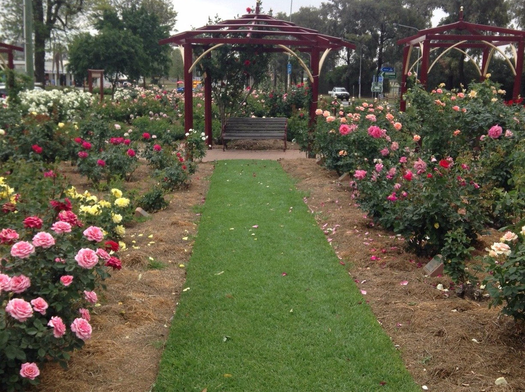 Cowra Rose Garden景点图片
