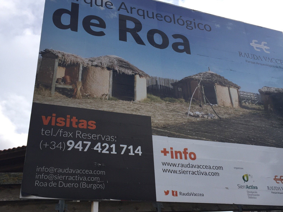 Parque Arqueológico de Roa de Duero景点图片