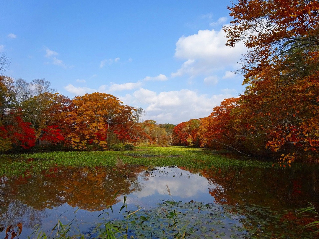 Lake Konumako-七饭町必去景点