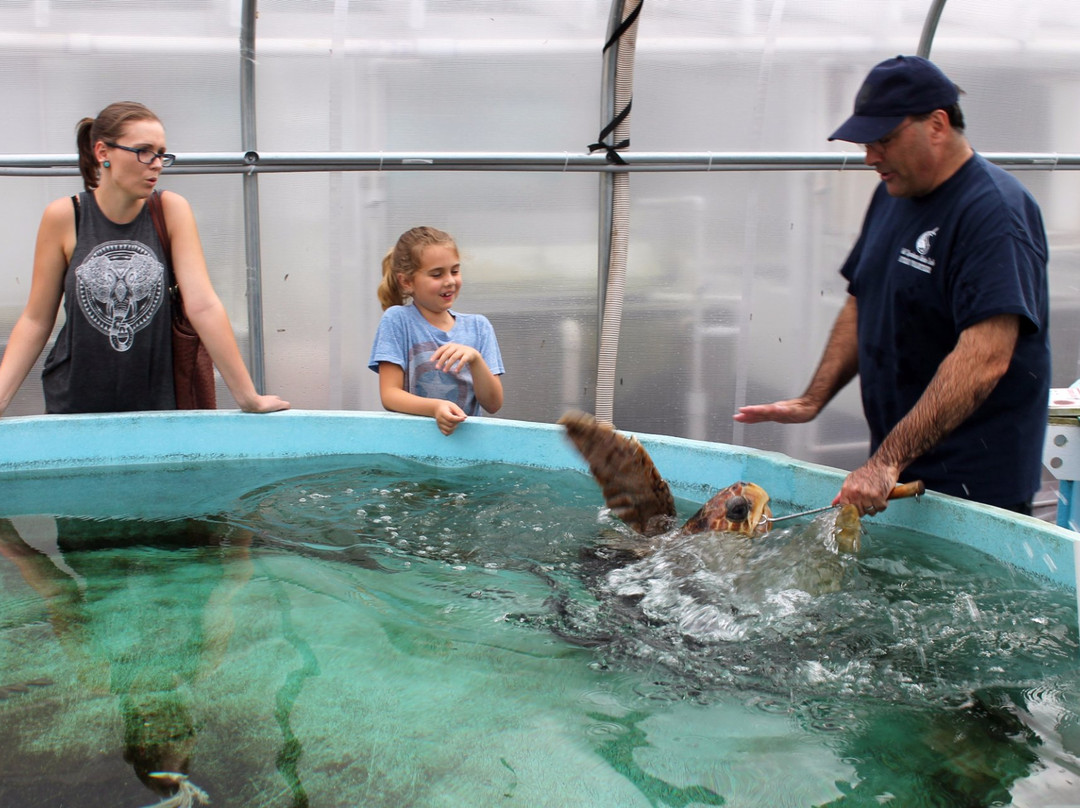 Gulf Specimen Marine Lab & Aquarium-Panacea必去景点