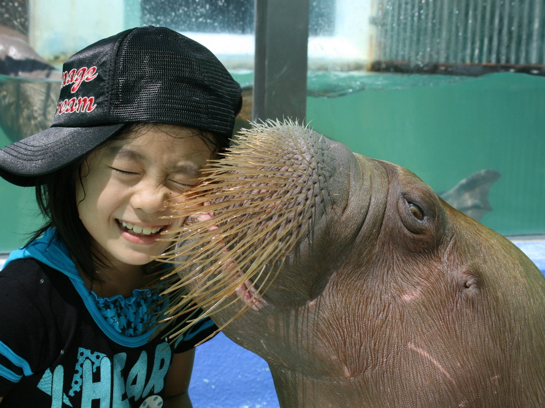 Ise Meotoiwa Interactive Aquarium (Ise Sea Paradise)-伊势市必去景点
