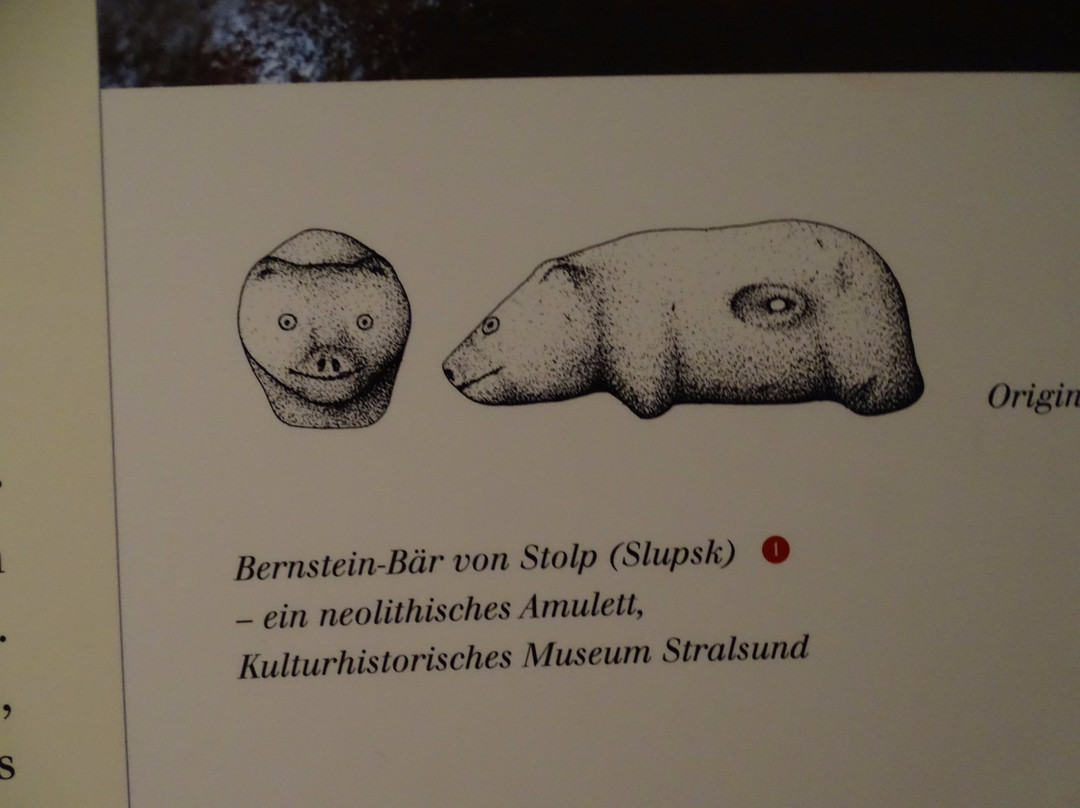 Deutsches Bernsteinmuseum景点图片