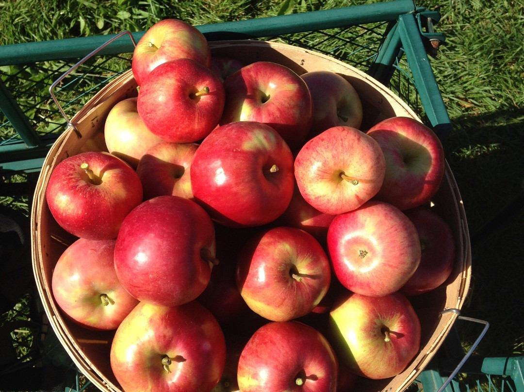 RV Rentals of Orlando-Longwood必去景点