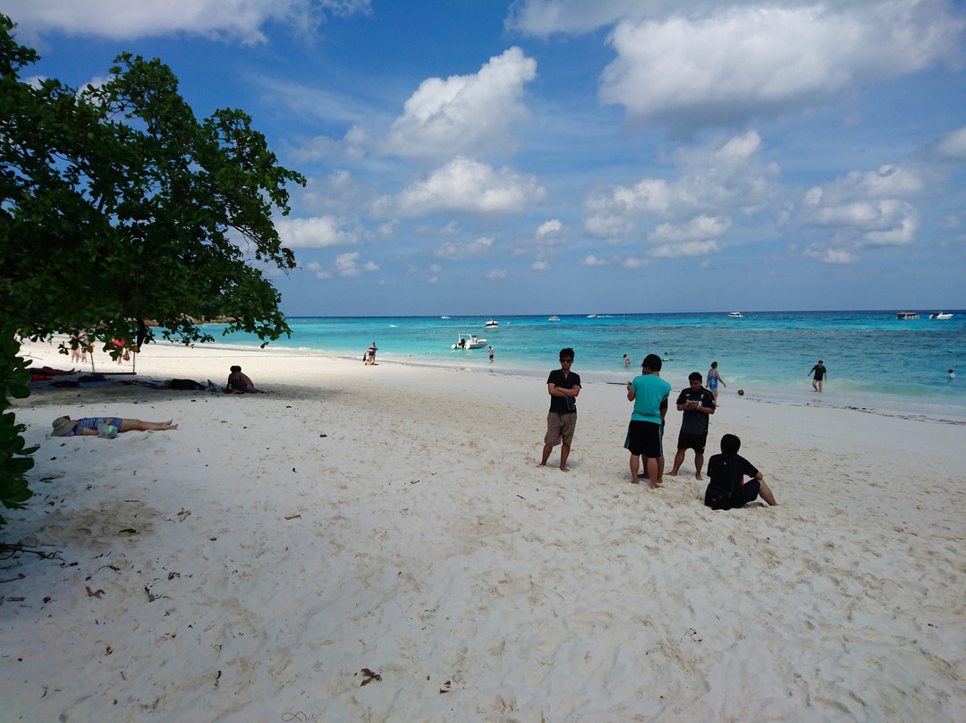 Ko Tachai Island-斯米兰群岛必去景点