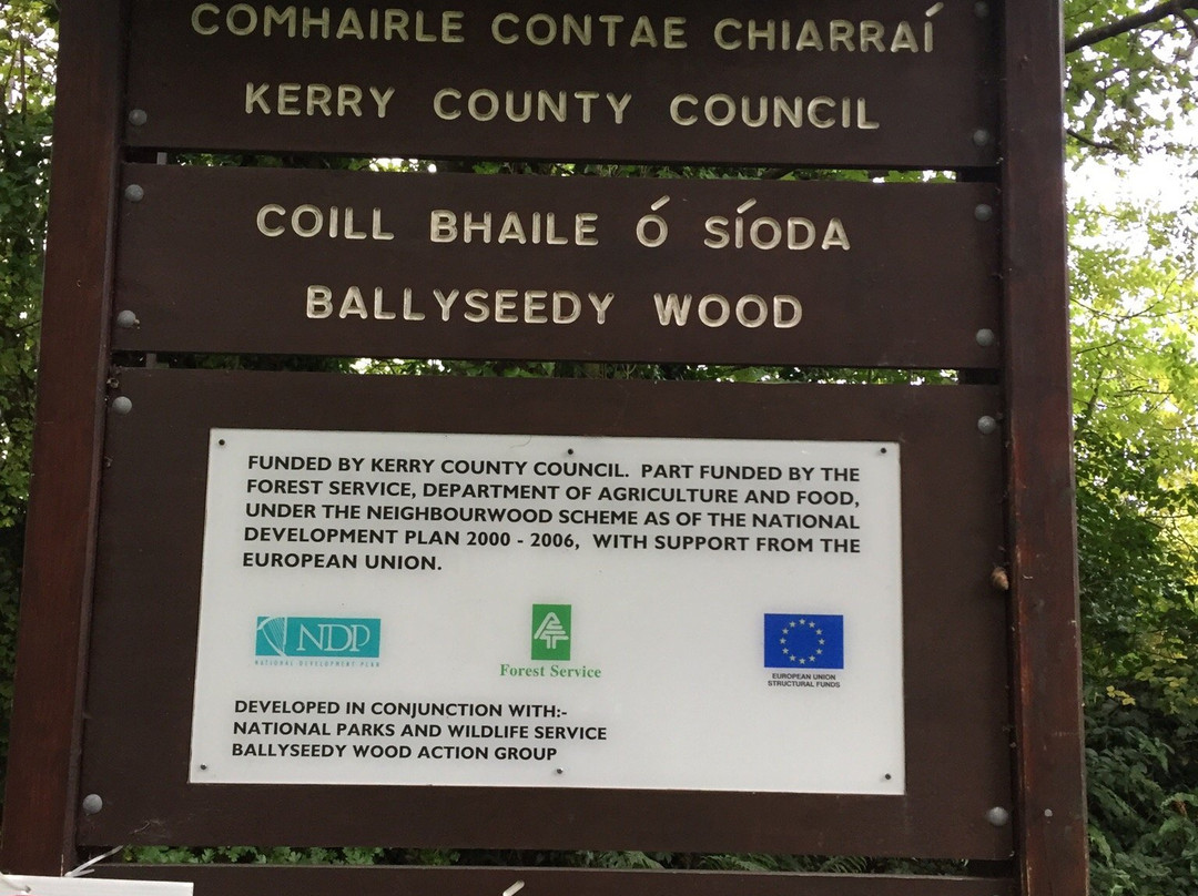 Ballyseedy Woods-特拉利必去景点