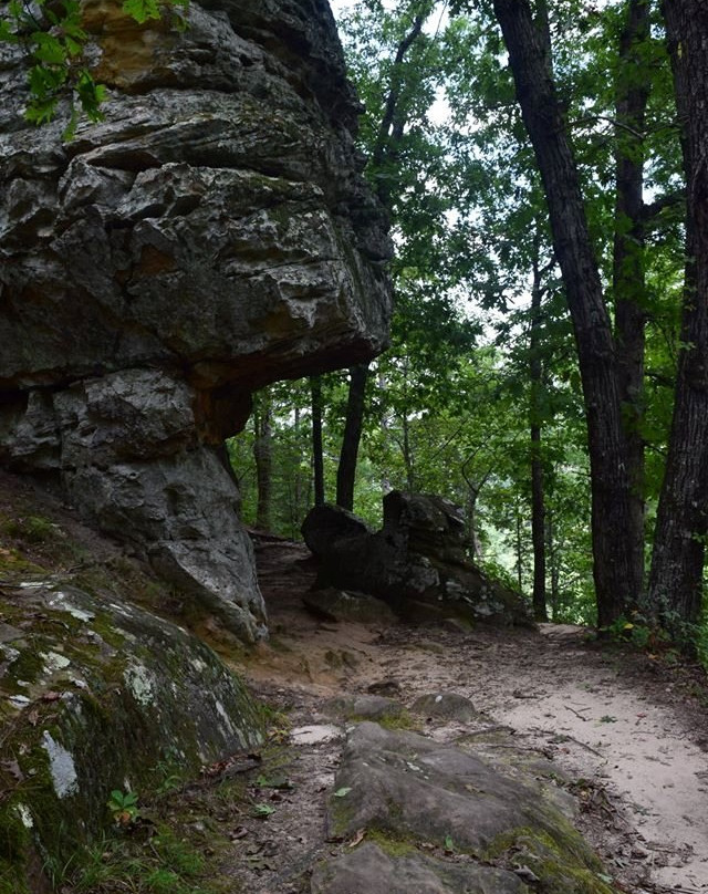 Bear Cave Trail-Morrilton必去景点