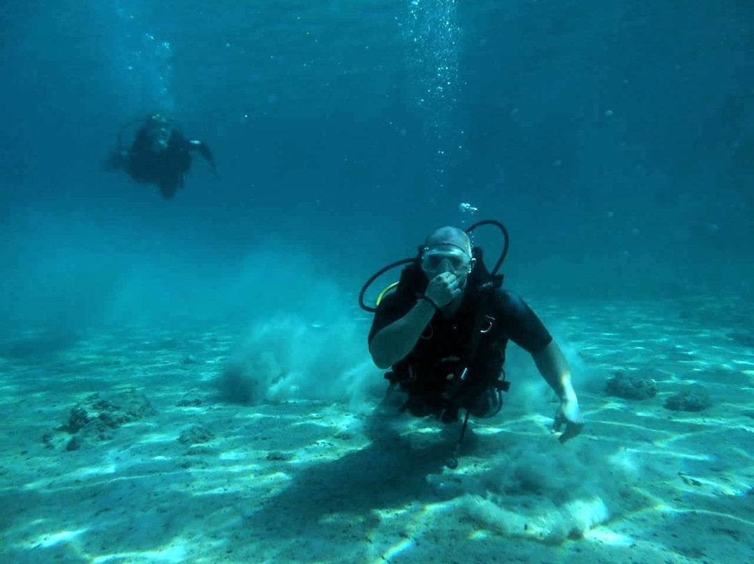 School of Diving Kouvaris景点图片