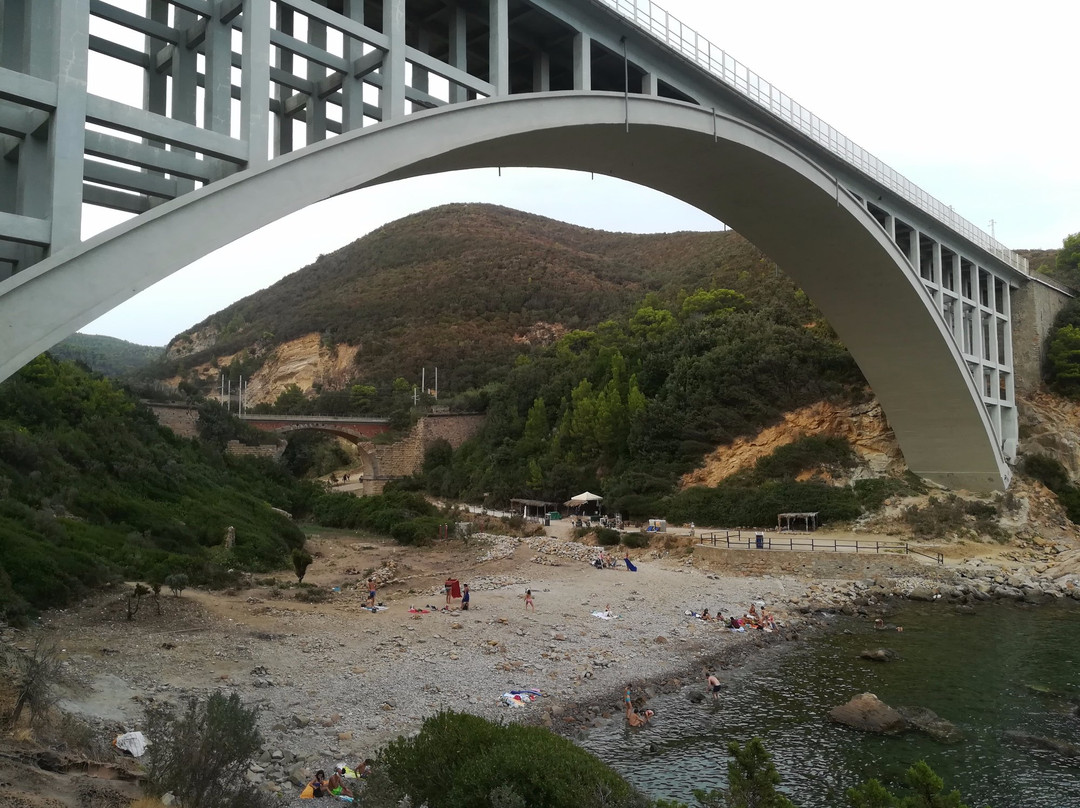 Spiaggia di Calignaia景点图片