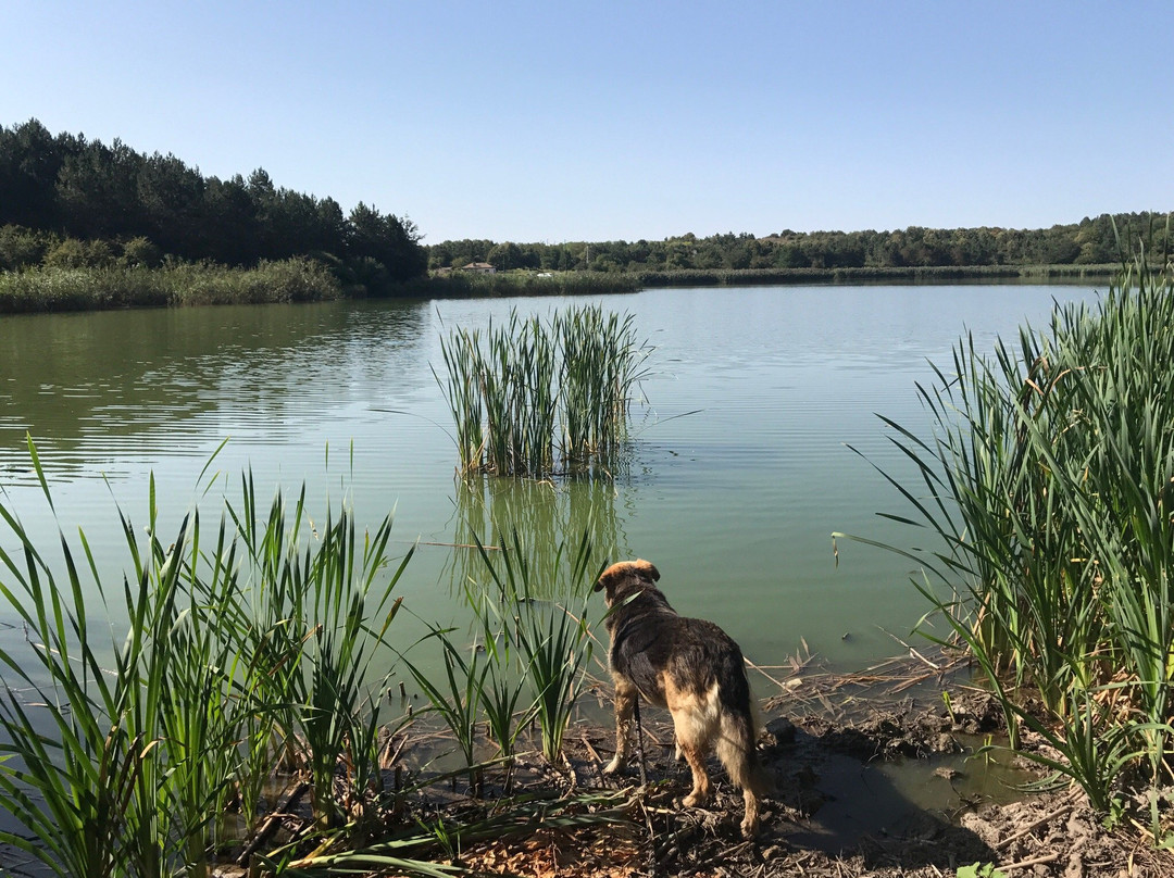 Lake Dryan-Dobrich必去景点