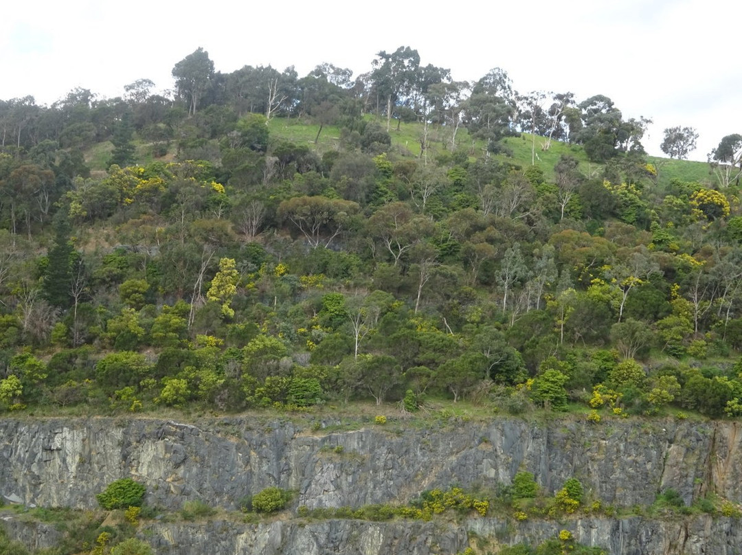 Ferntree Gully Quarry Reserve景点图片