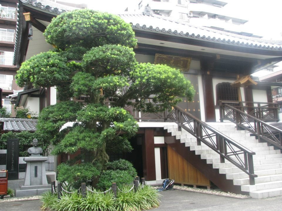 Renko-ji Temple-杉并区必去景点