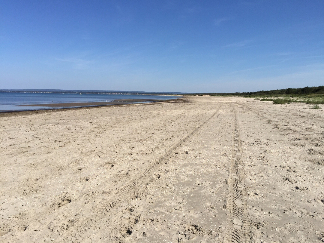 Sibirien Strand-Ängelholm必去景点