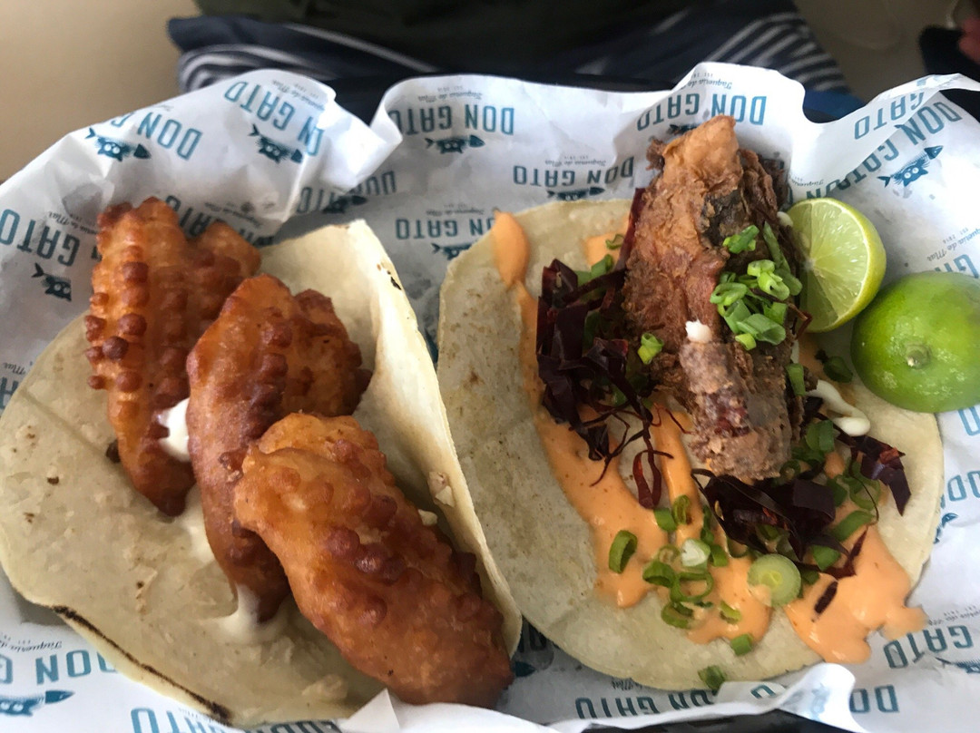 Topolobampo餐馆和美食-Don Gato