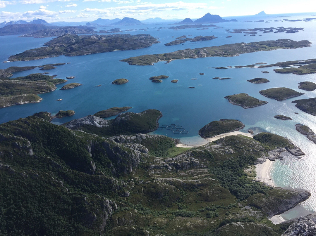 Rødøyløva