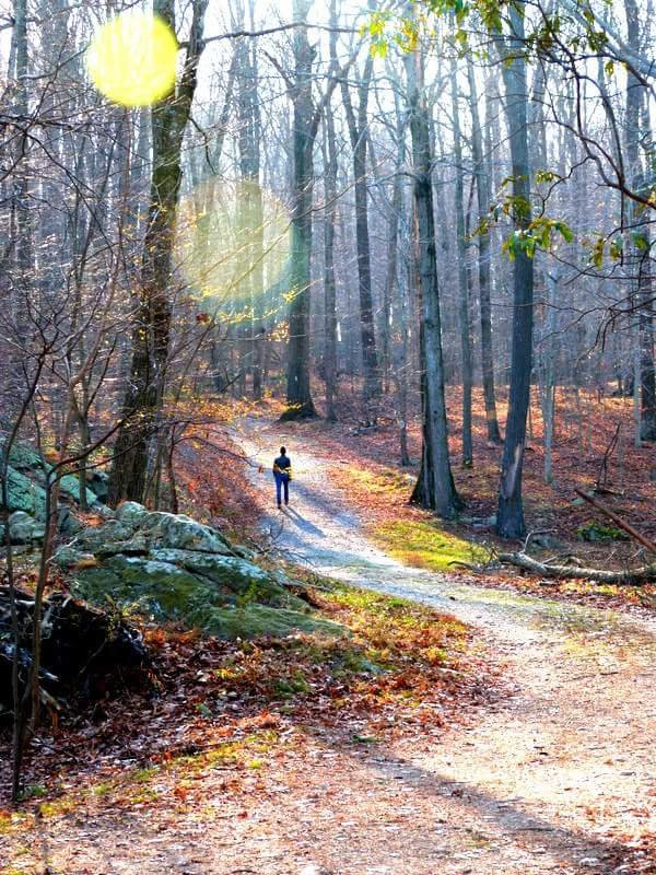 Collis P. Huntington State Park-Redding必去景点