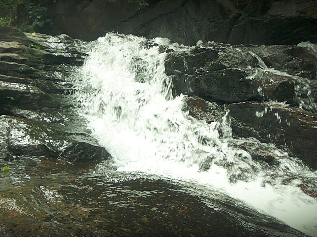 Pattathipara Waterfall景点图片