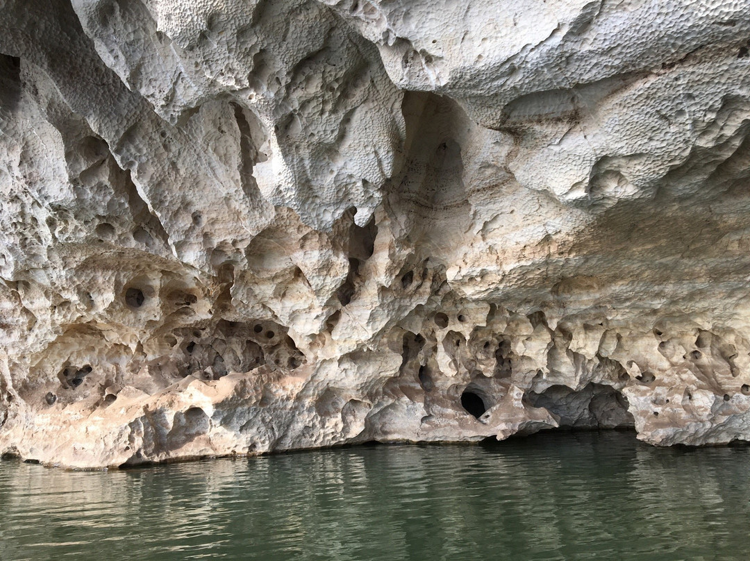 DEC Boat Tour景点图片