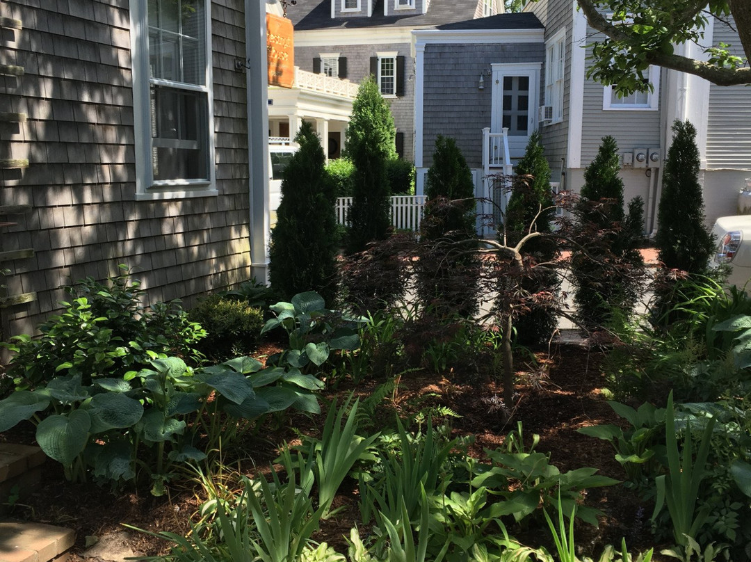 Chestnut House主图