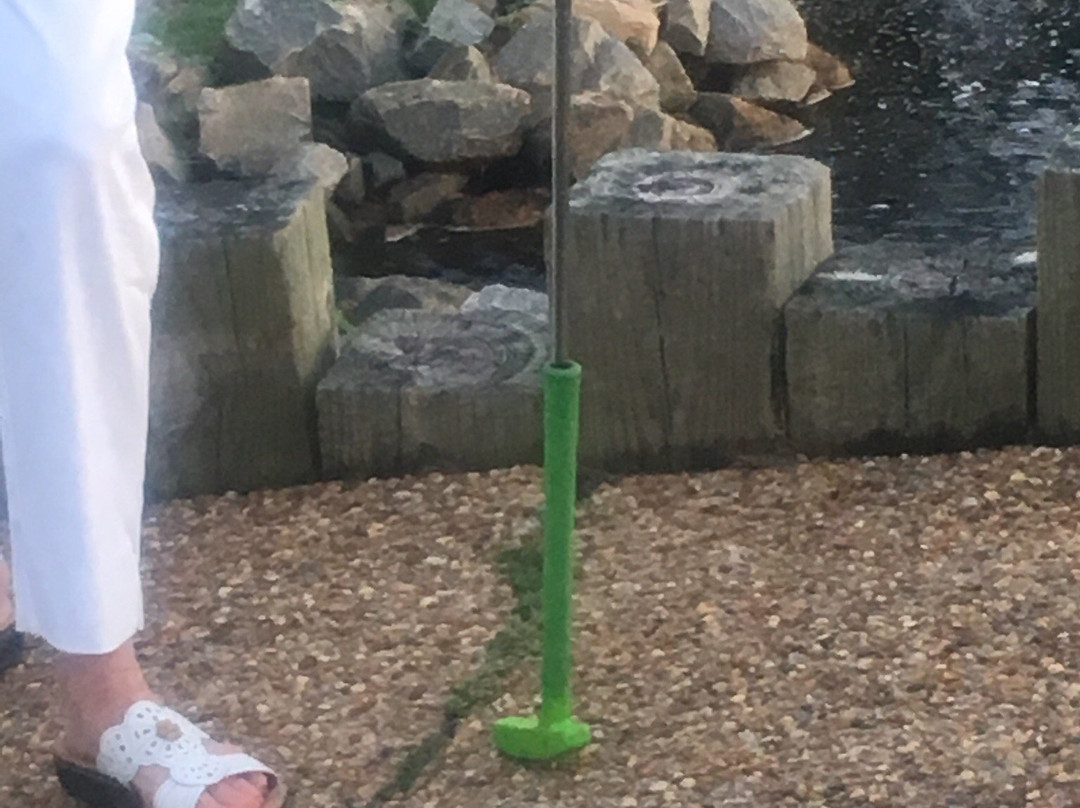 Frisco Mini Golf & Go Karts景点图片