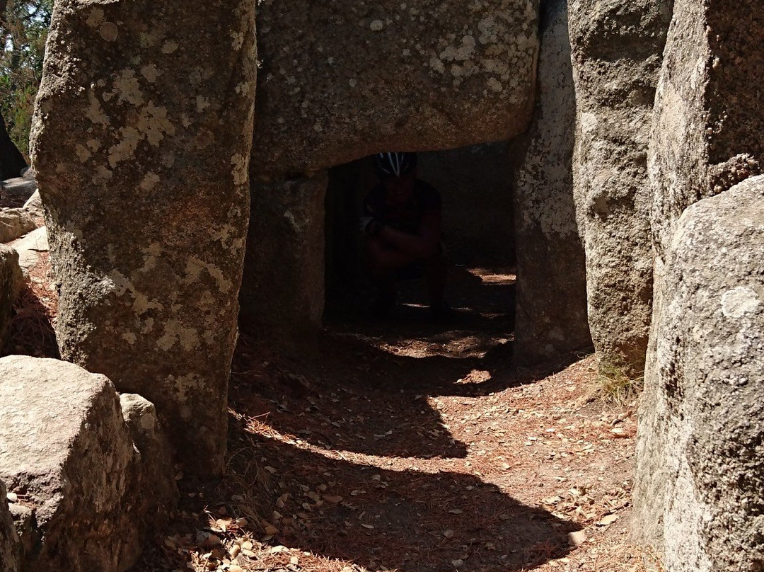 Romanyà de la Selva-Santa Cristina d'Aro必去景点