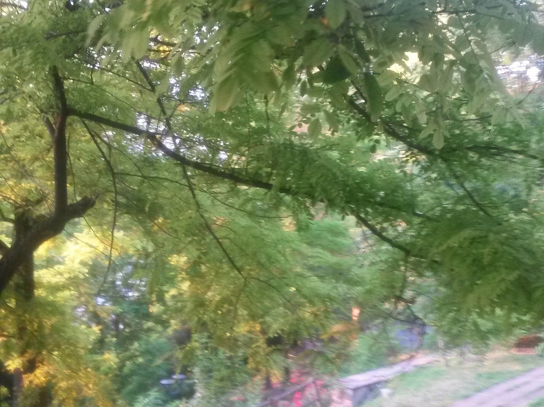 Parco Colline Moreniche di Castiglione景点图片