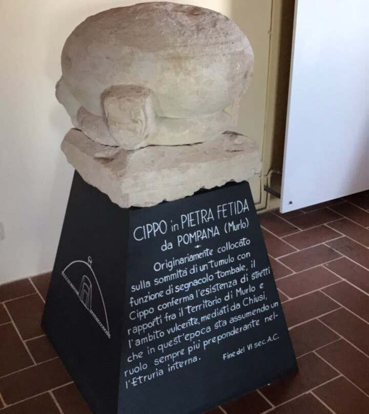 Antiquarium di Poggio Civitate Museo Archeologico景点图片