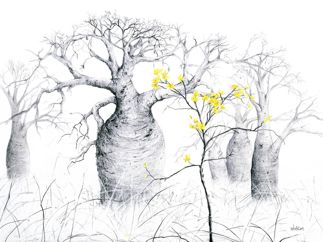 Windram Art Gallery景点图片