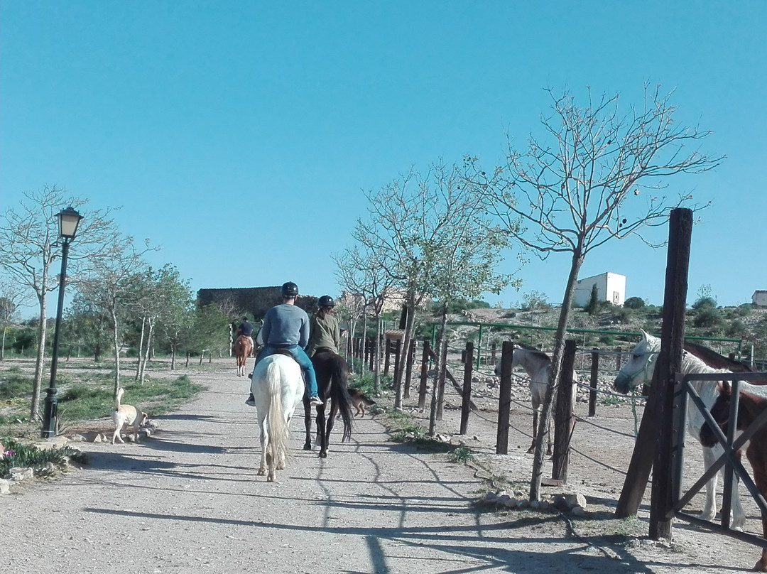 Finca La Constancia景点图片