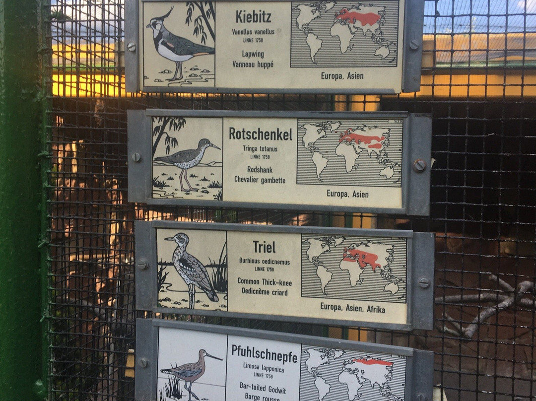 Vogelpark Bobenheim-Roxheim-Bobenheim-Roxheim必去景点