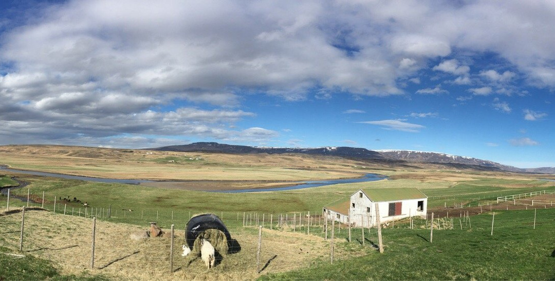 Bordeyri旅游攻略图片