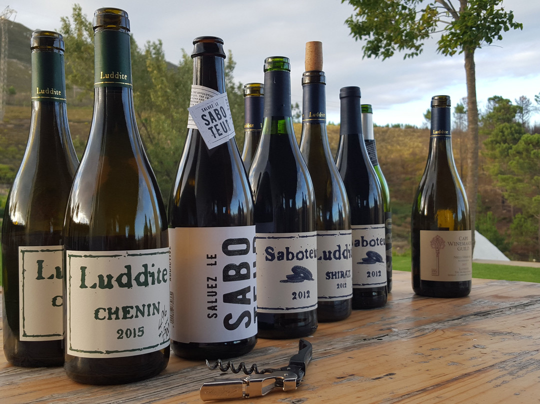 African Hoopoe Tours-开普敦中心区必去景点