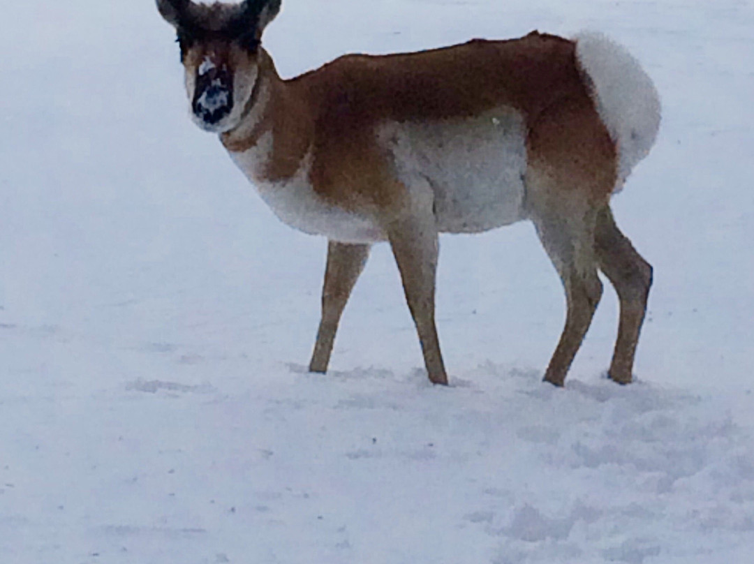 Warren Air Force Base-夏延必去景点