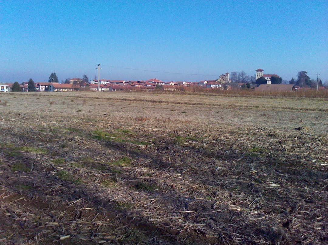 Mercenasco旅游攻略图片