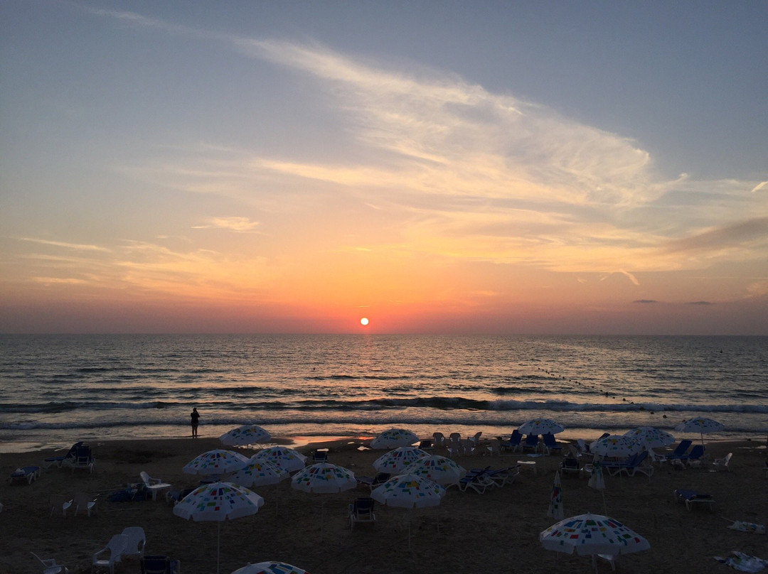 HaTsuk Beach-特拉维夫必去景点