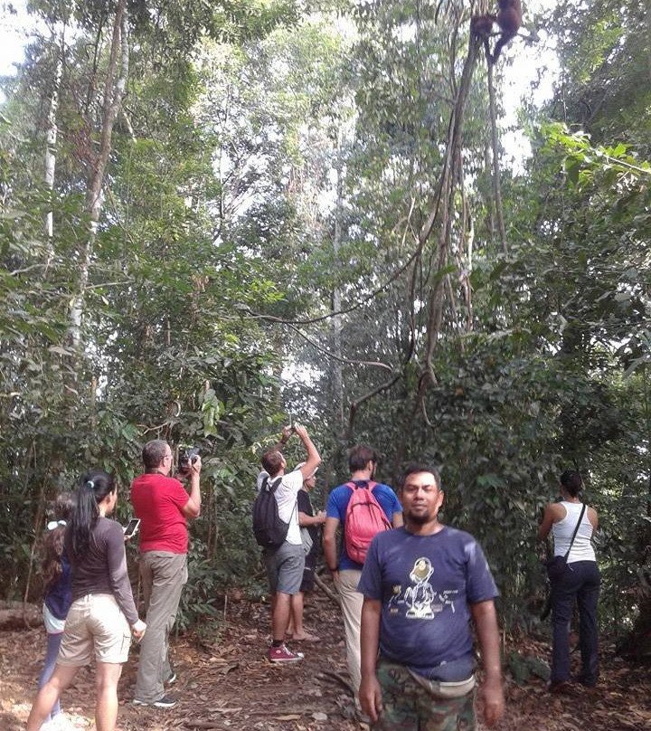 Bukit Lawang Planet-武吉拉旺必去景点