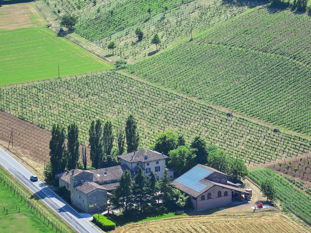Casa Benna Azienda Vitivinicola景点图片