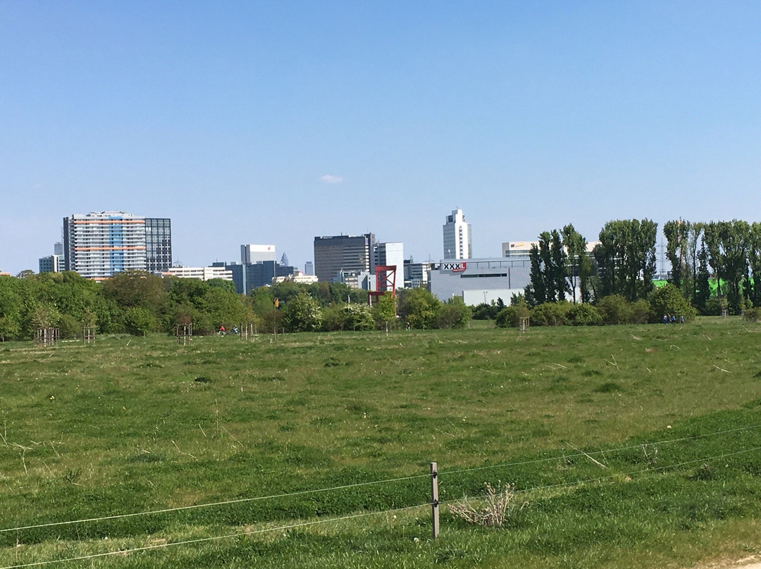Aboretum Main-Taunus-埃施博尔恩必去景点