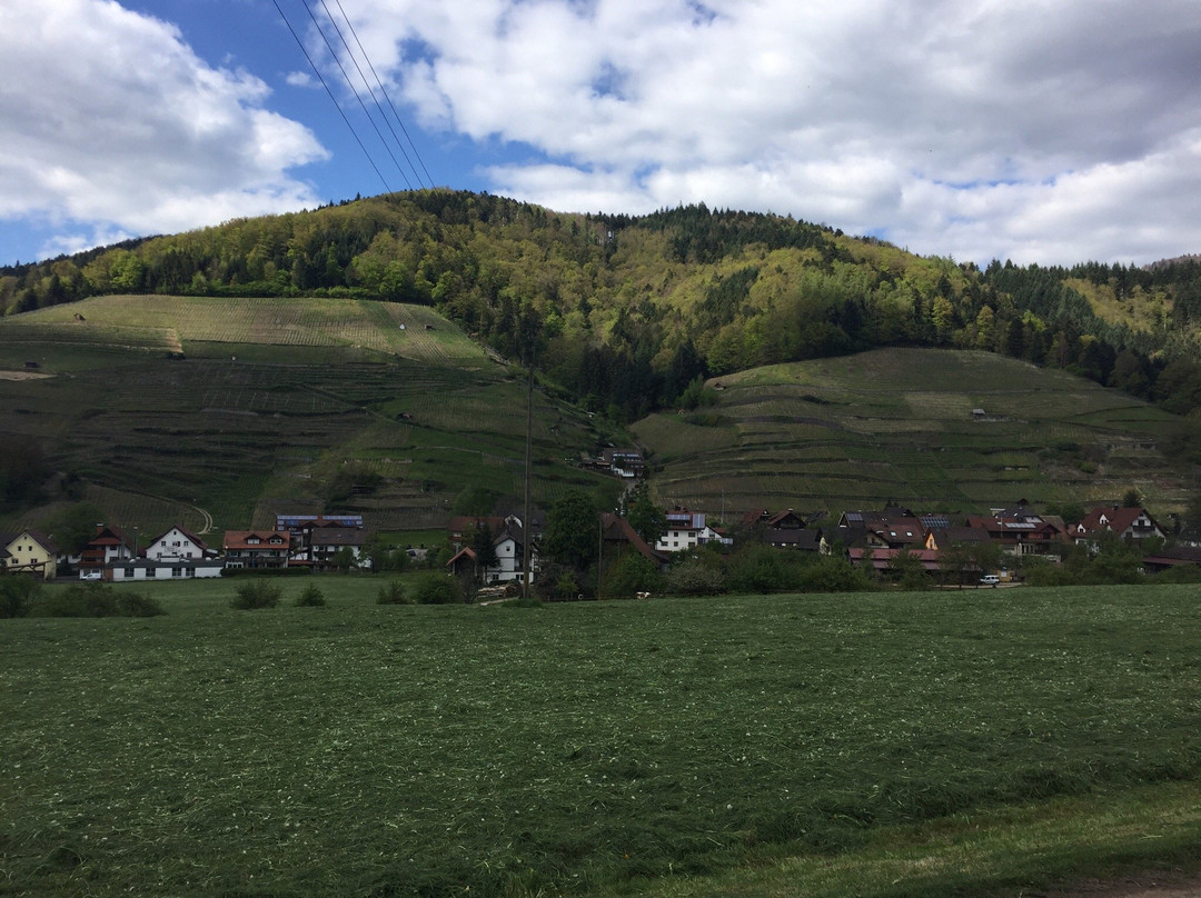 Minotel Tobererhof主图