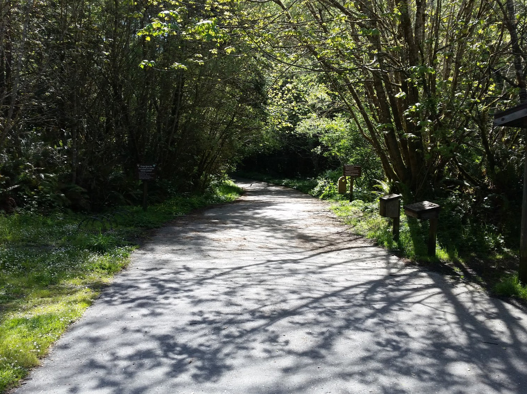 Headwaters Forest Reserve景点图片