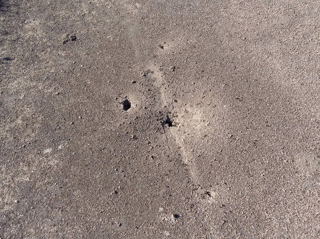 Crescent Bend Nature Park-Schertz必去景点