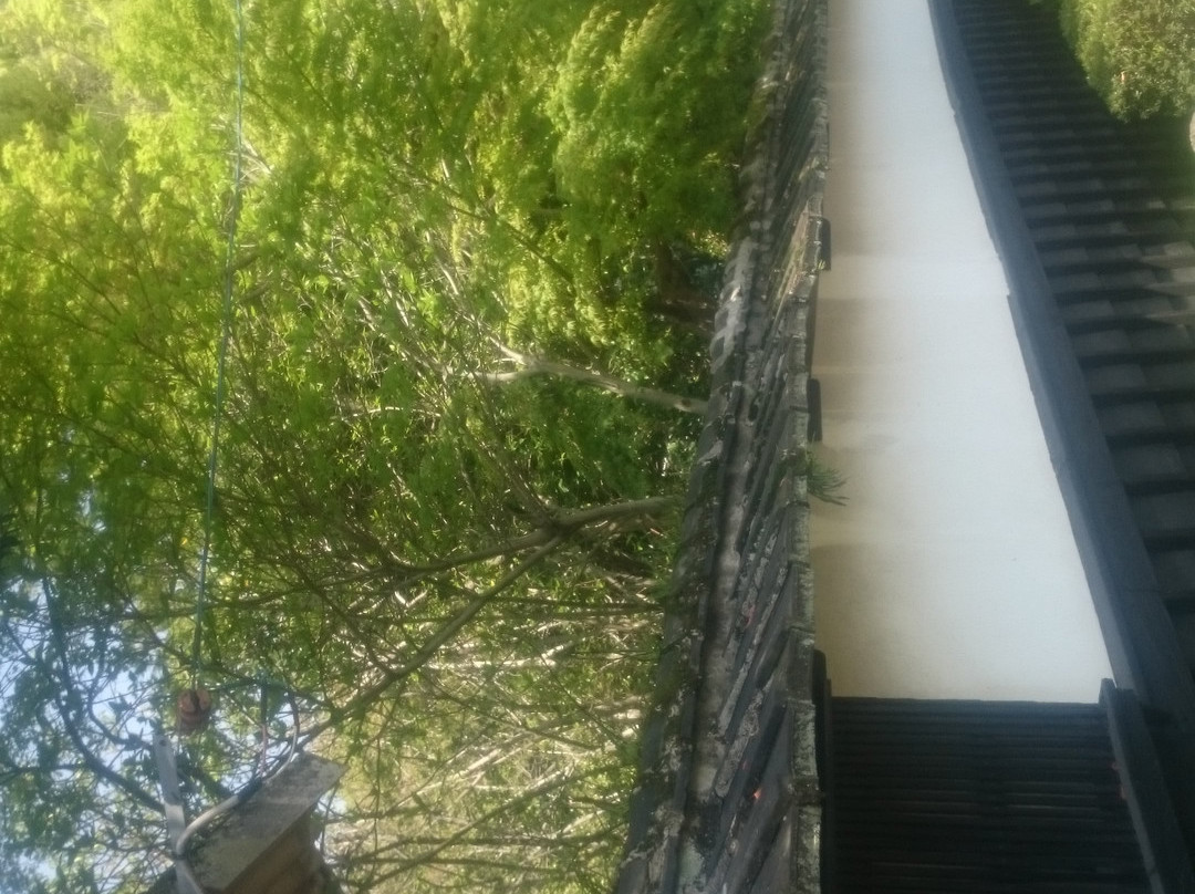 Shohinken-八代市必去景点