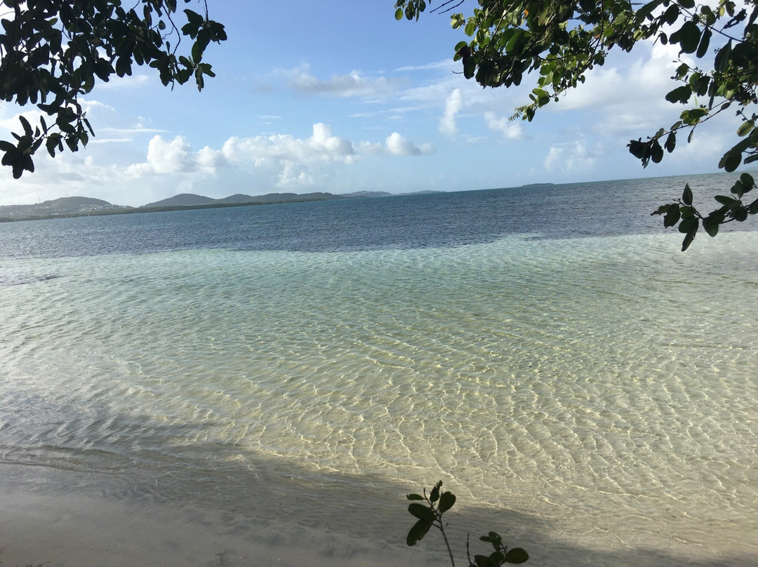 Reserva Natural Medio Mundo y Daguao-Ceiba必去景点