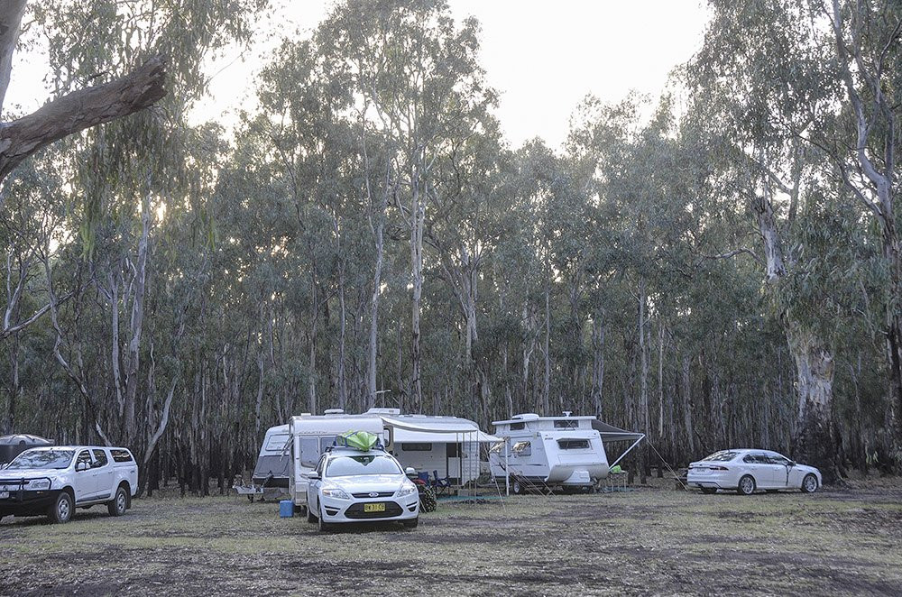 Barmah National Park-Barmah必去景点