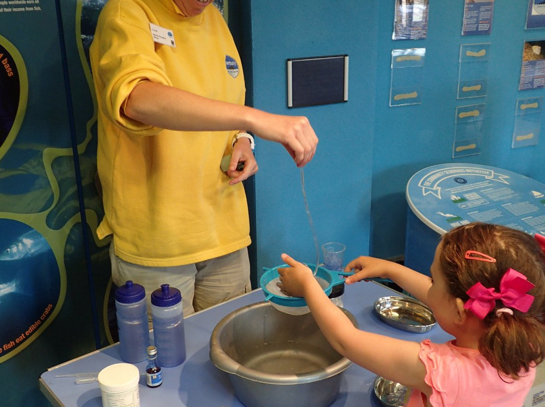 Wembury Marine Centre-Wembury必去景点